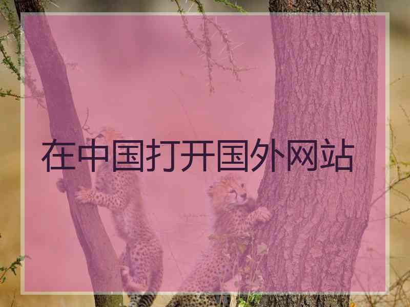 在中国打开国外网站