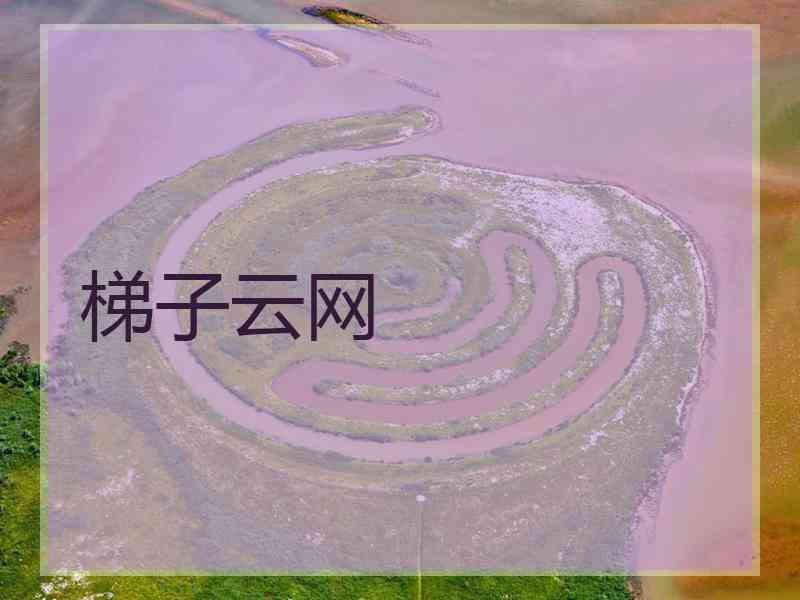 梯子云网