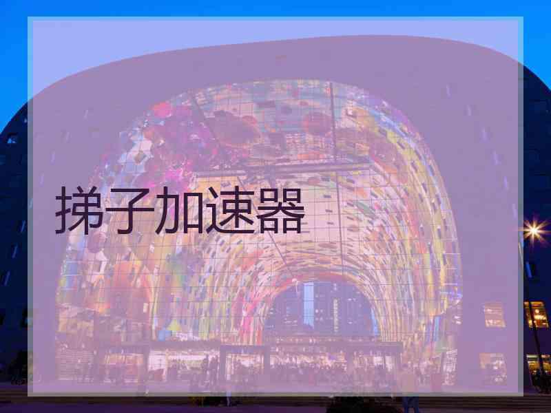 挮子加速器