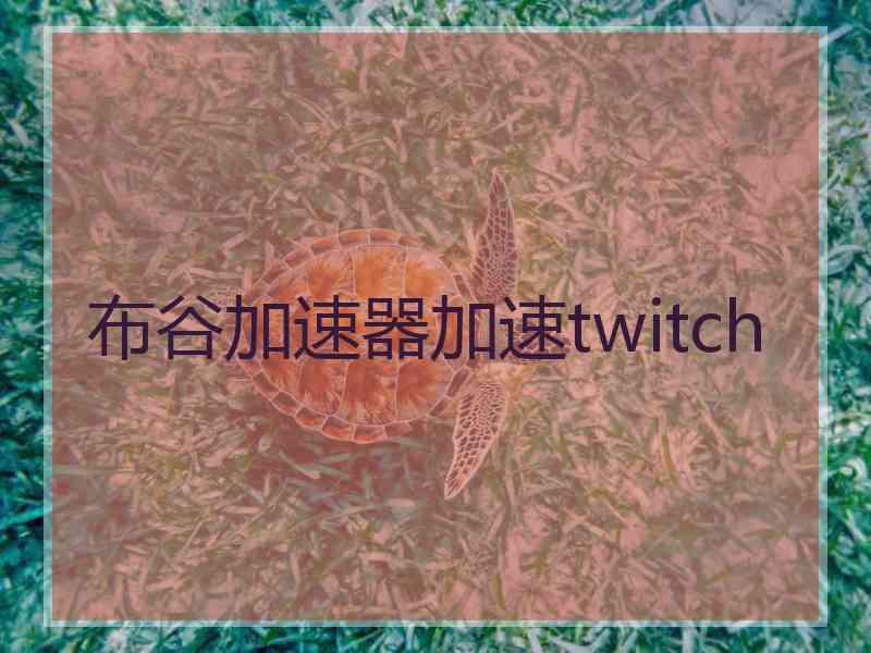 布谷加速器加速twitch