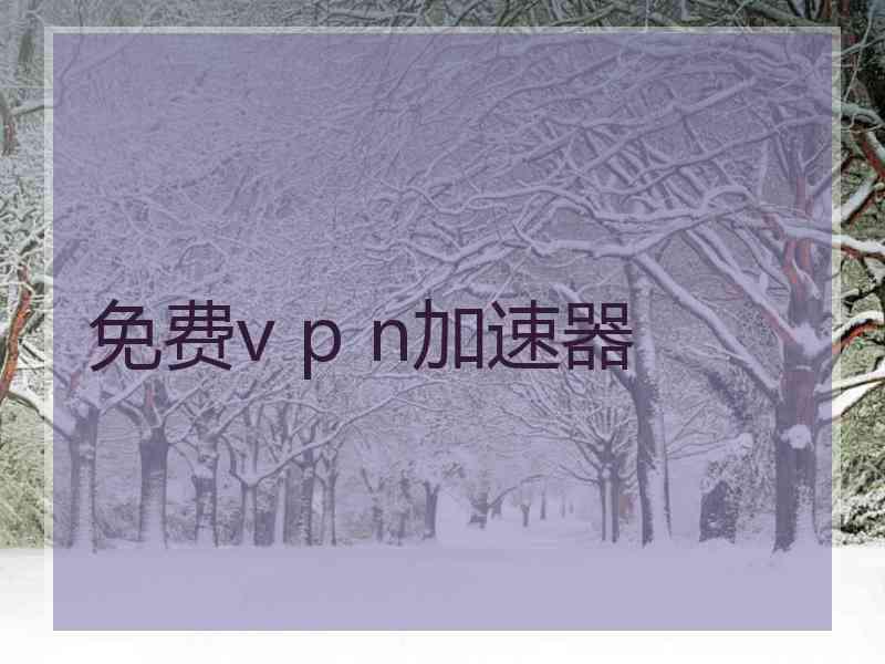 免费v p n加速器