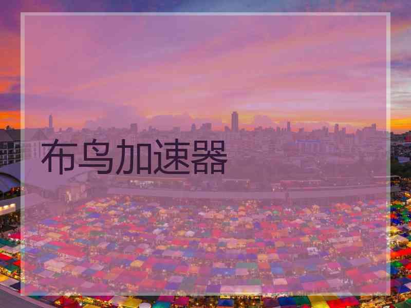 布鸟加速器