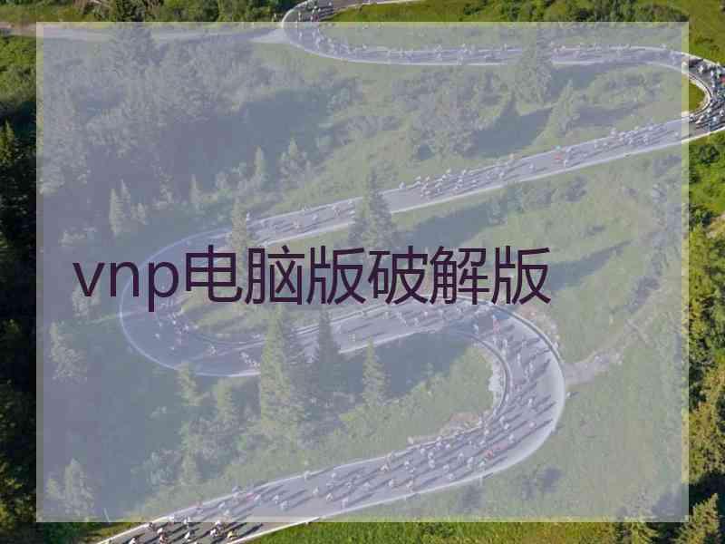 vnp电脑版破解版