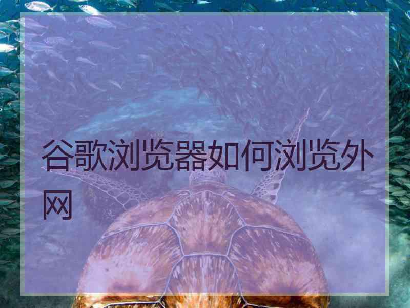 谷歌浏览器如何浏览外网
