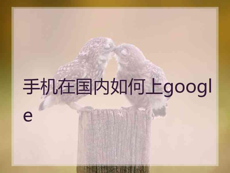 手机在国内如何上google