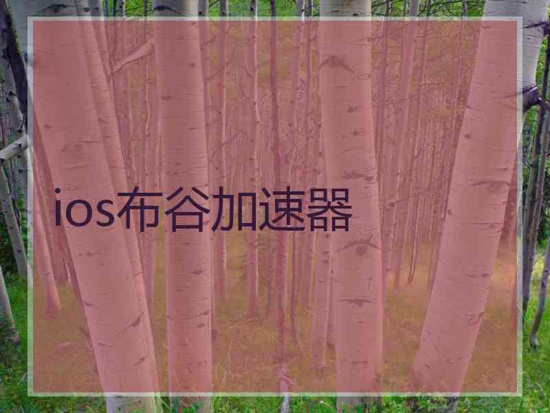 ios布谷加速器