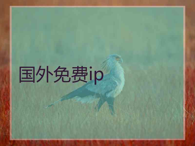 国外免费ip