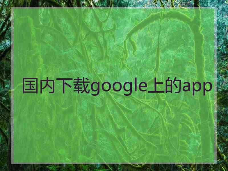 国内下载google上的app