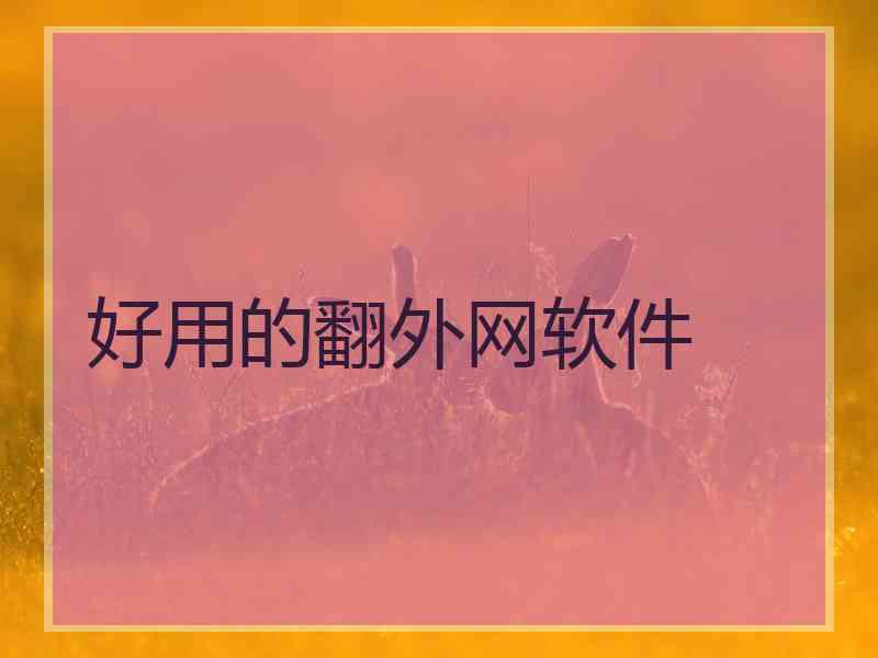 好用的翻外网软件