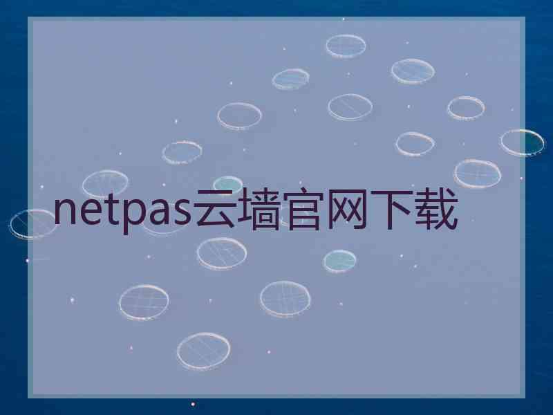netpas云墙官网下载