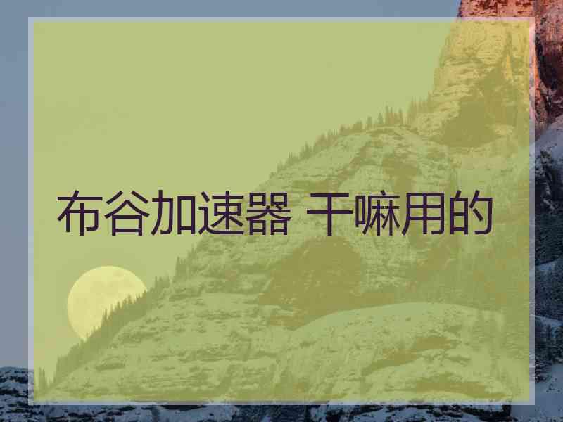 布谷加速器 干嘛用的