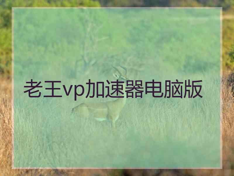 老王vp加速器电脑版