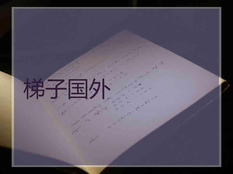 梯子国外