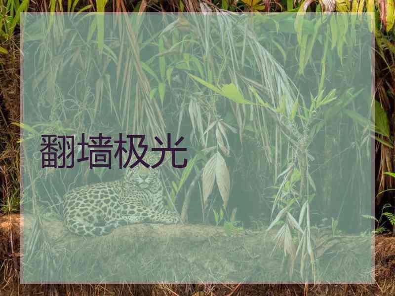 翻墙极光
