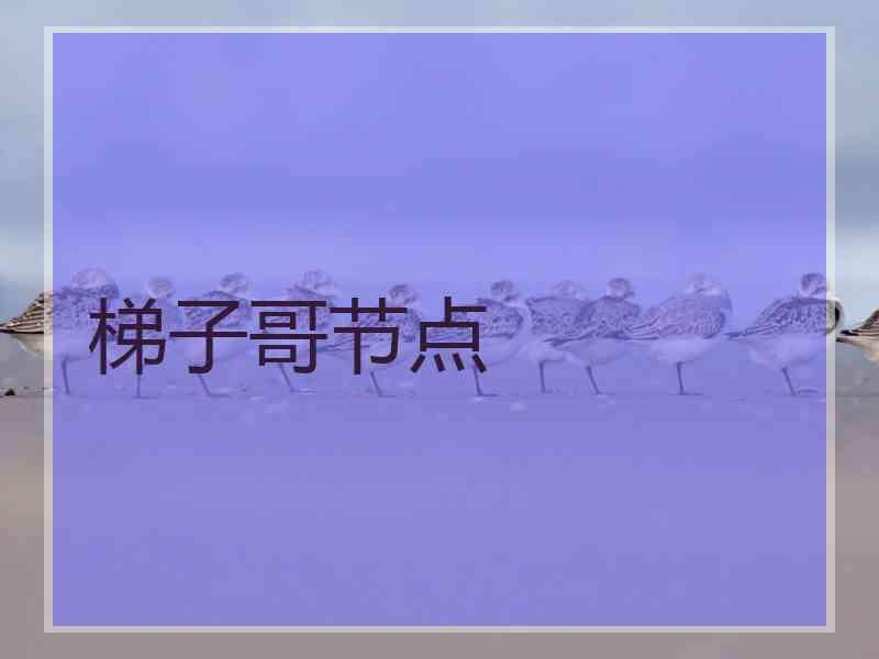 梯子哥节点