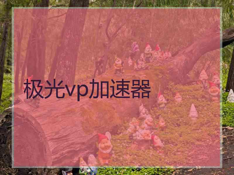 极光vp加速器