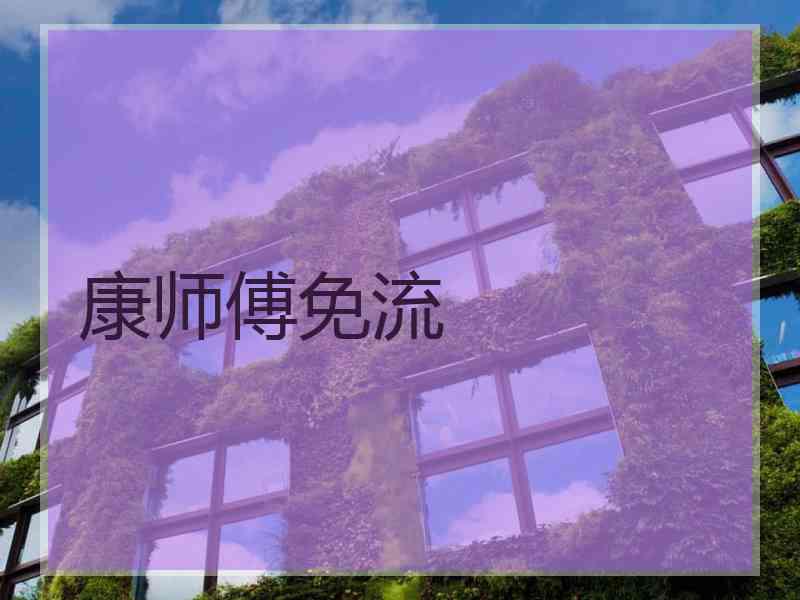 康师傅免流