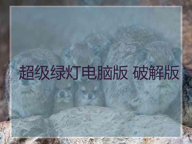 超级绿灯电脑版 破解版
