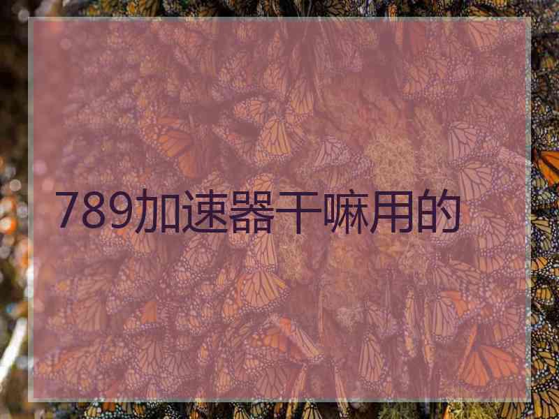 789加速器干嘛用的