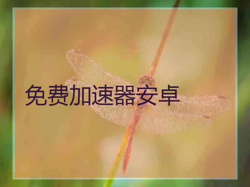 免费加速器安卓