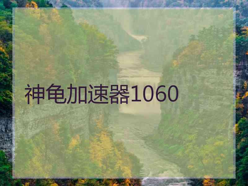 神龟加速器1060