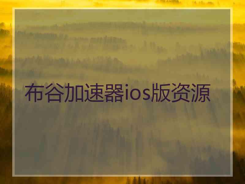 布谷加速器ios版资源