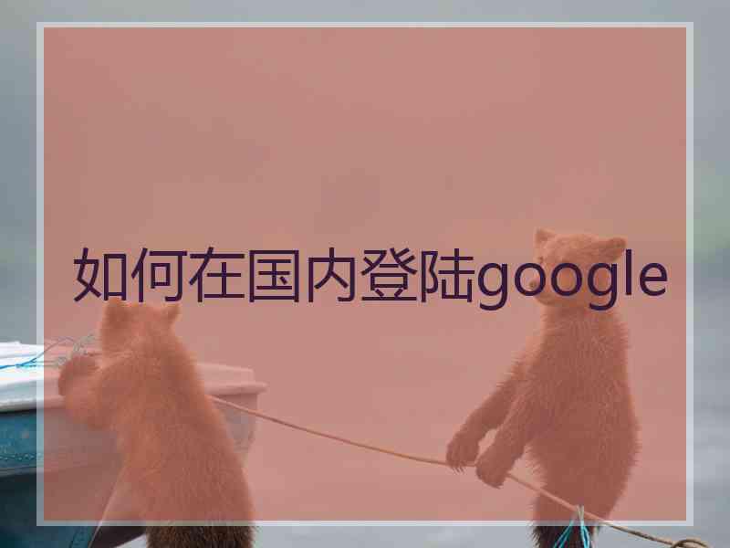 如何在国内登陆google