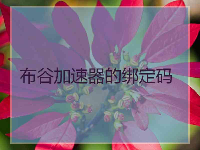 布谷加速器的绑定码