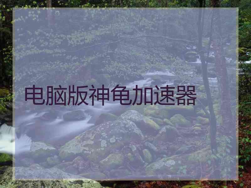 电脑版神龟加速器