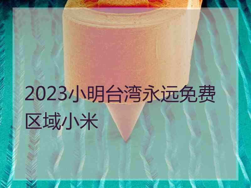 2023小明台湾永远免费区域小米