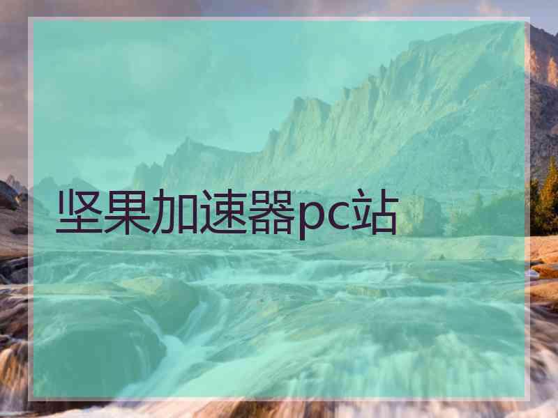 坚果加速器pc站
