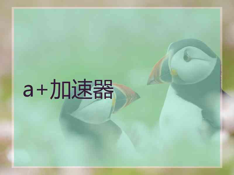a+加速器