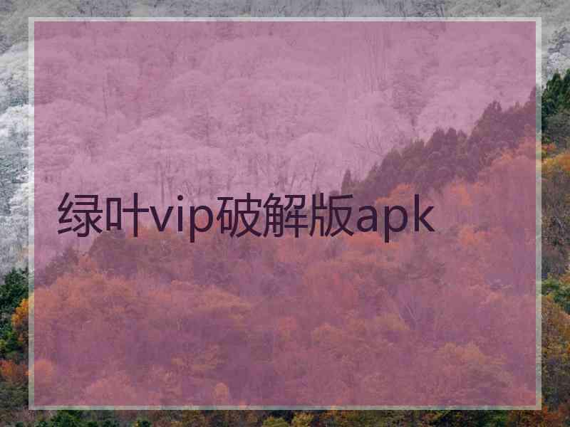 绿叶vip破解版apk