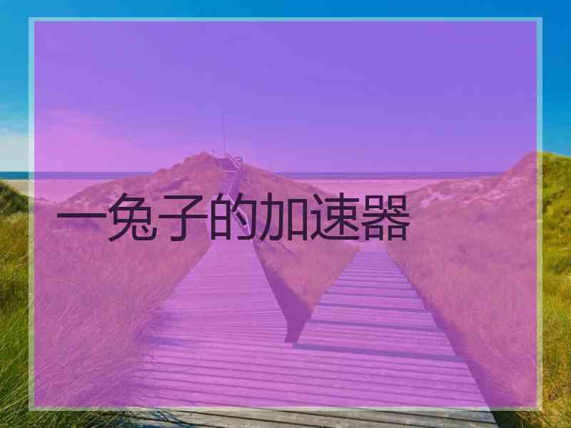 一兔子的加速器