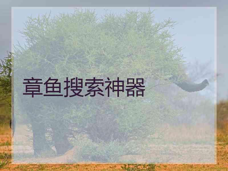 章鱼搜索神器