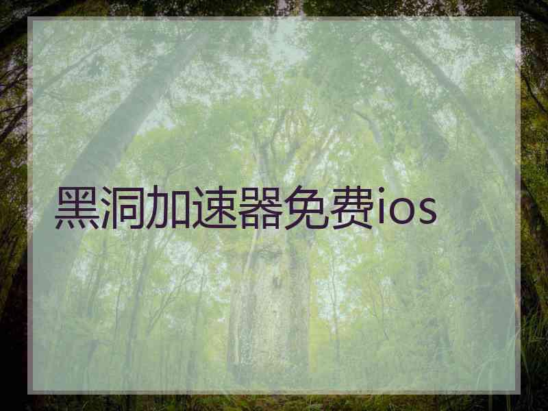 黑洞加速器免费ios