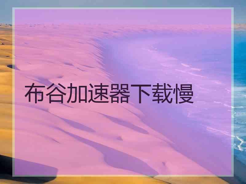 布谷加速器下载慢
