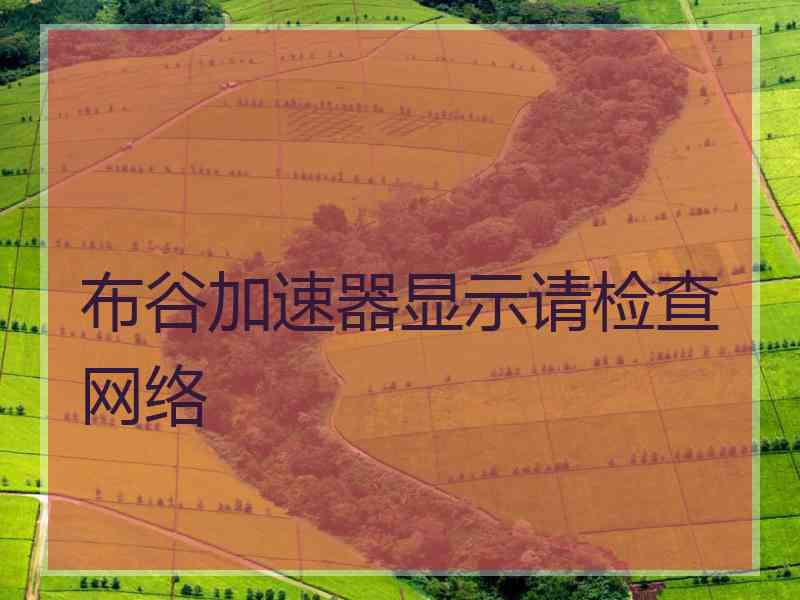 布谷加速器显示请检查网络