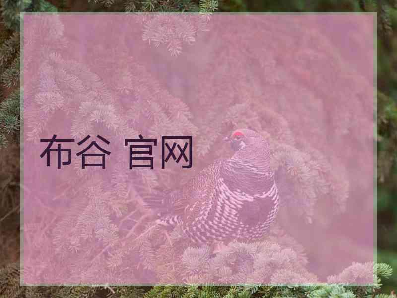 布谷 官网