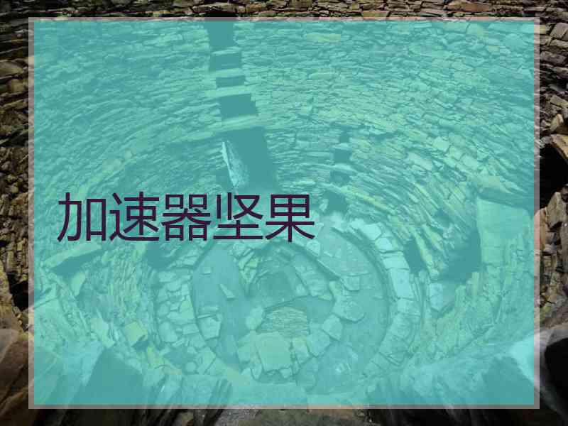 加速器坚果