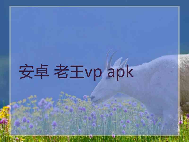 安卓 老王vp apk