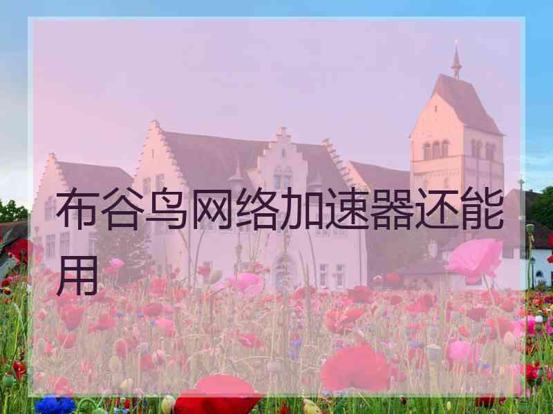 布谷鸟网络加速器还能用