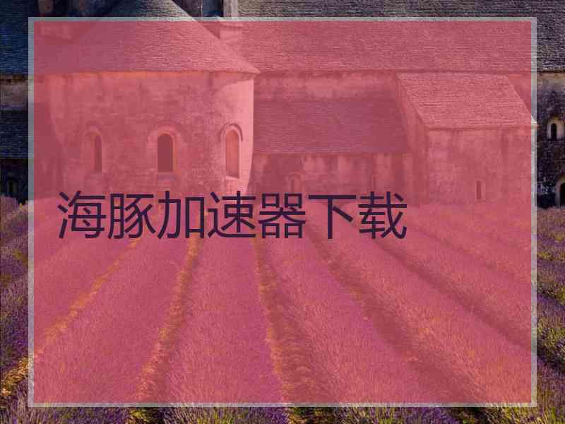 海豚加速器下载