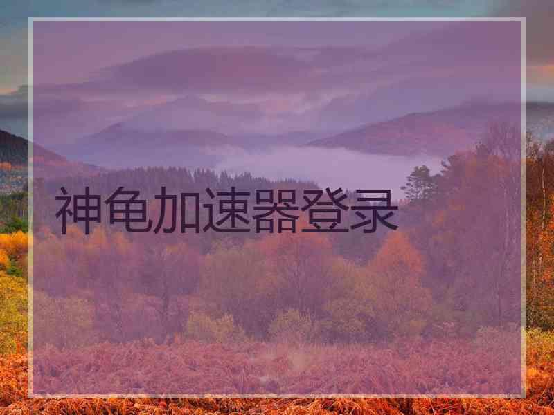 神龟加速器登录