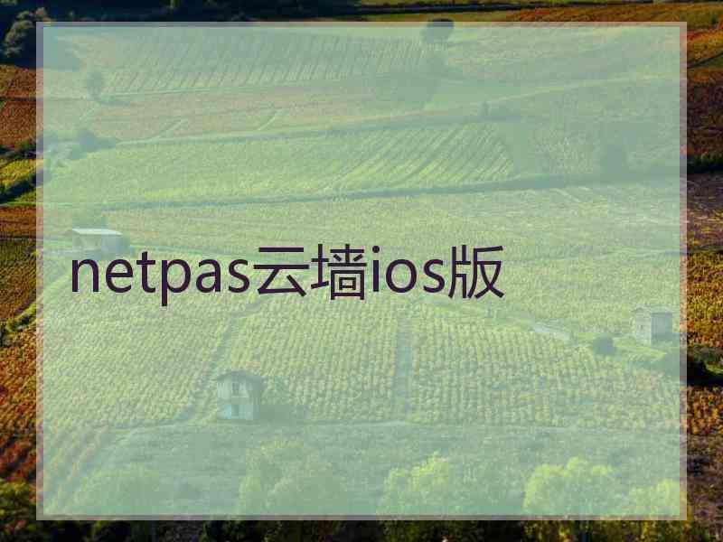 netpas云墙ios版