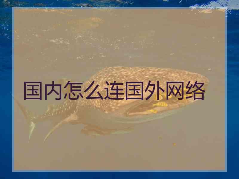 国内怎么连国外网络