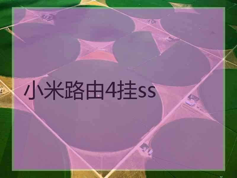 小米路由4挂ss