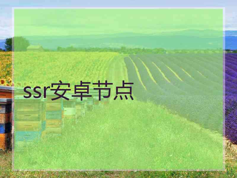 ssr安卓节点