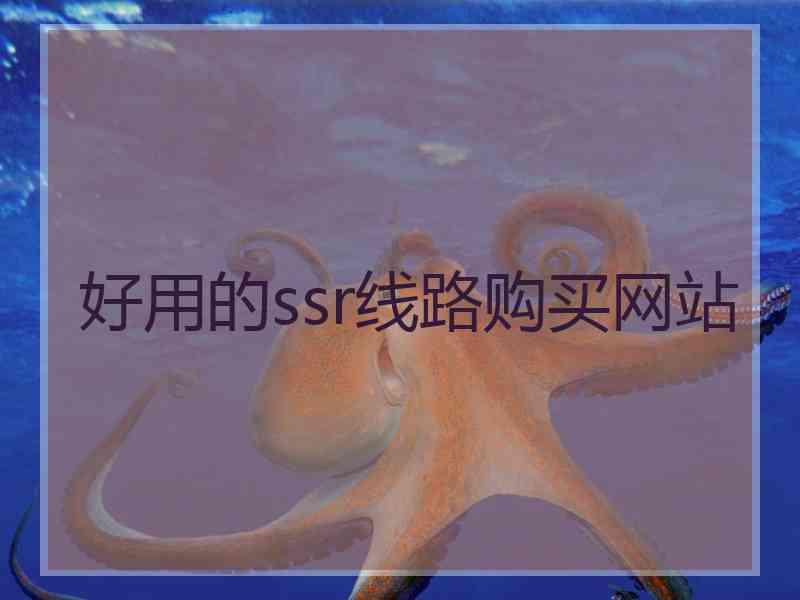 好用的ssr线路购买网站