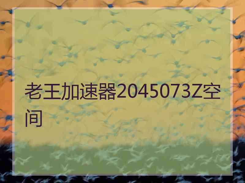 老王加速器2045073Z空间